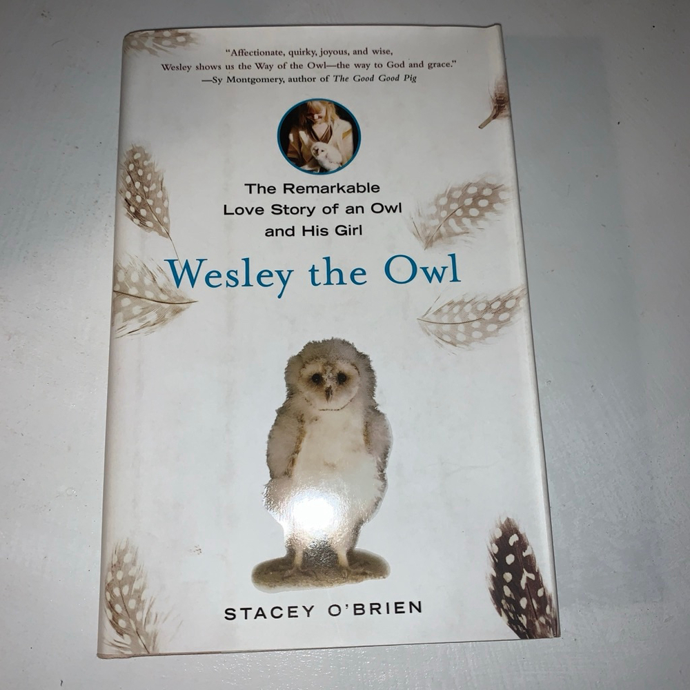 Free Press Wesley the Owl Coffee Table Book One Size White Brown